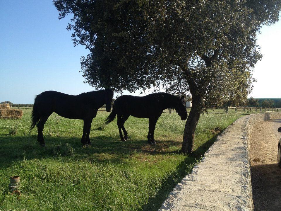 Masseria Autigne Otranto Zewnętrze zdjęcie